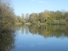 Badesee Ersingen Badesee Ersingen