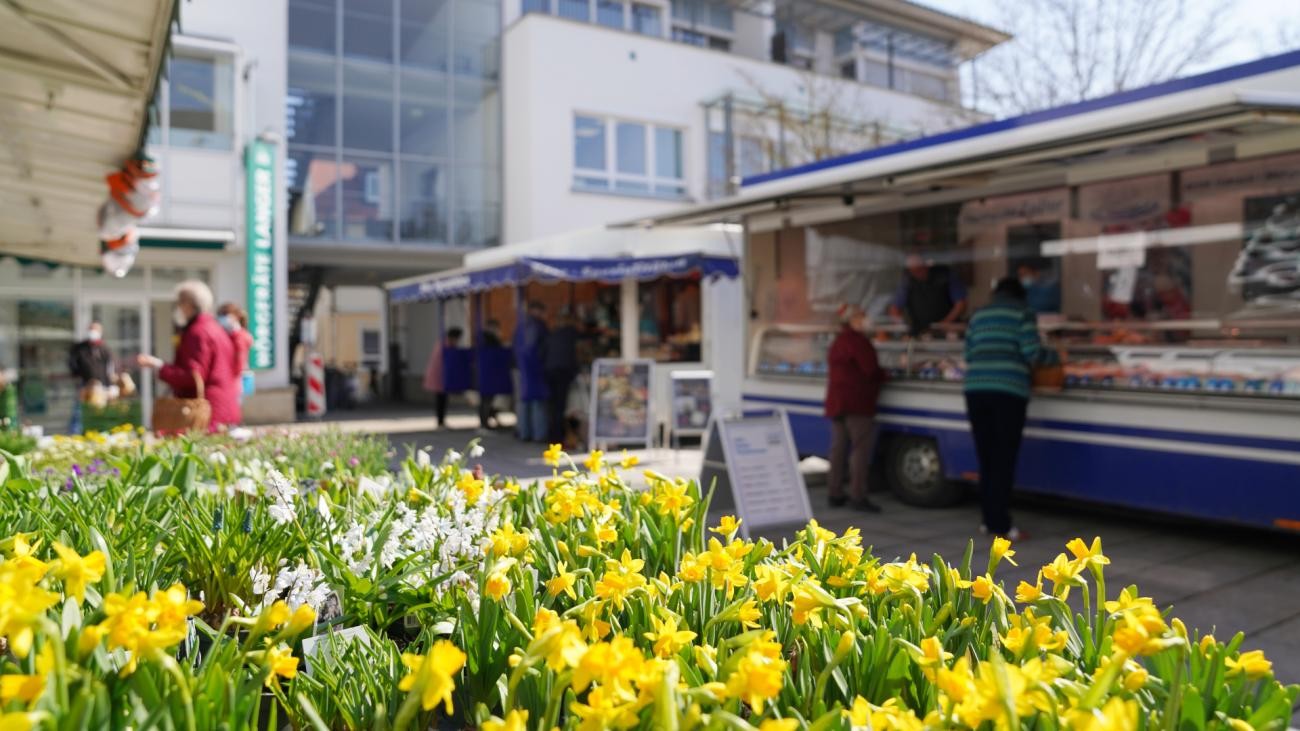 Wochenmarkt Erbach, Blumen, Stände