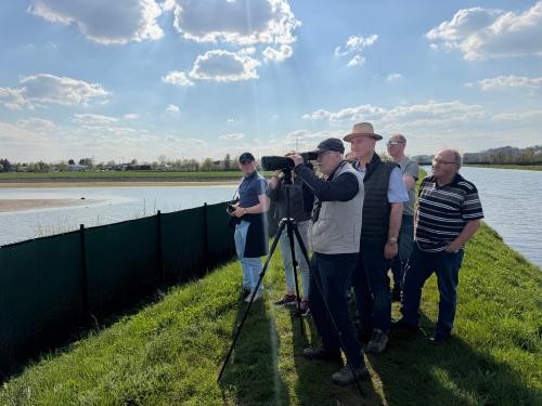 Mitglieder des Gemeinderats bei der Vogelbeobachtung
